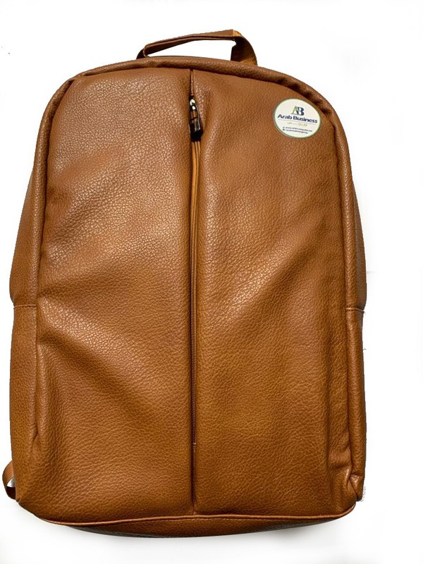 leather backpack for laptop (Havan)