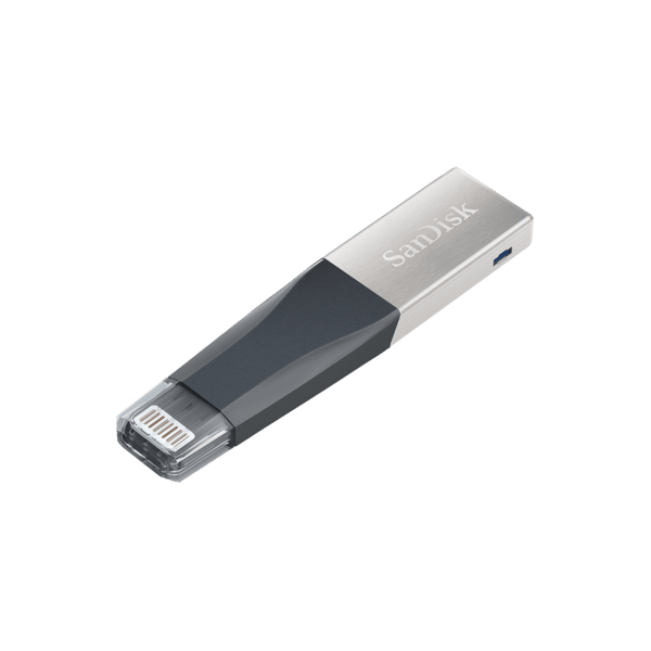 FLASH SANDISK SDIX40N-GN6NE SanDisk