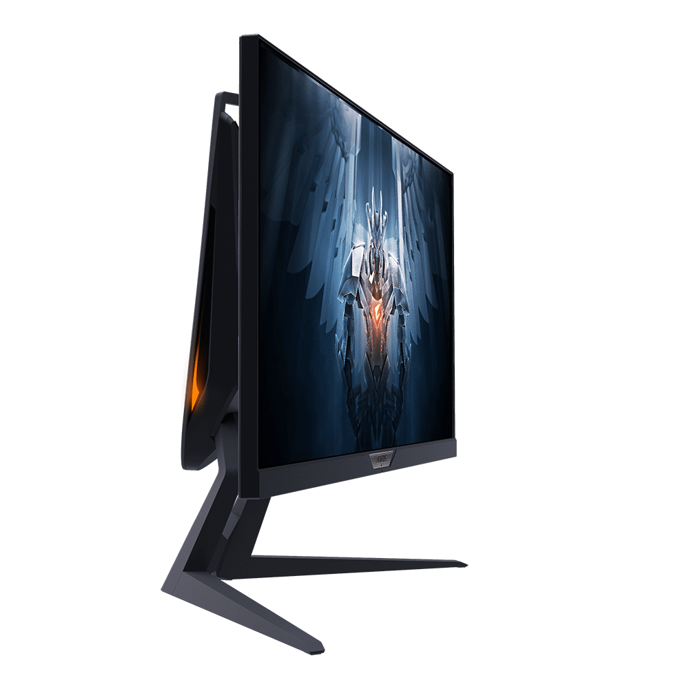 Gaming Monitor AORUS FI 25 F Gigabyte