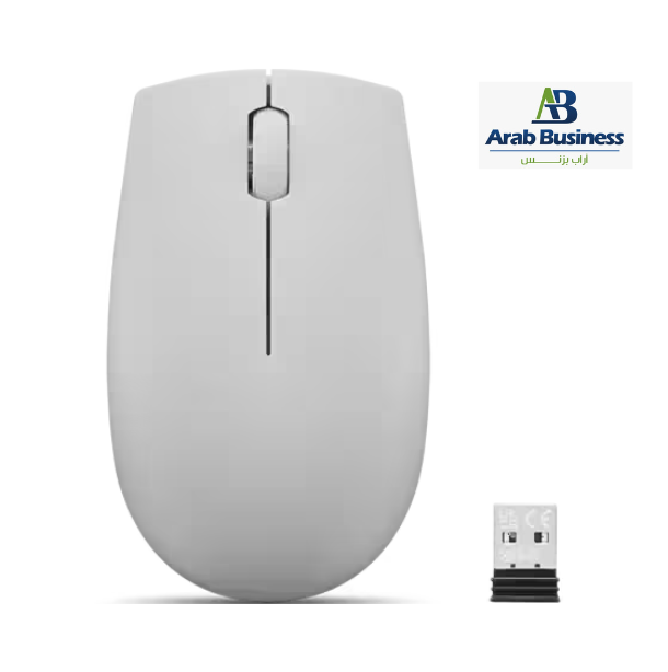 Lenovo 300 Wireless Compact Mouse (Arctic Grey) with battery
