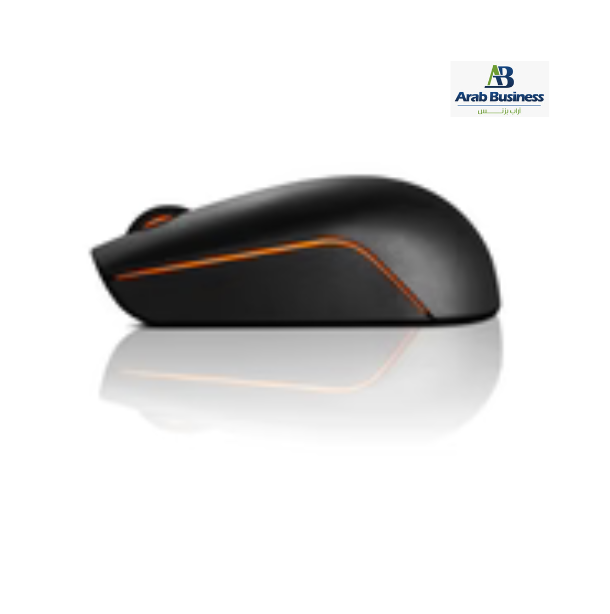 LENOVO 300 WIRELESS COMPACT MOUSE