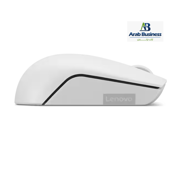 LENOVO 300 WIRELESS COMPACT MOUSE -CLOUD GREY