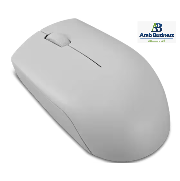 Lenovo 300 Wireless Compact Mouse (Arctic Grey) with battery