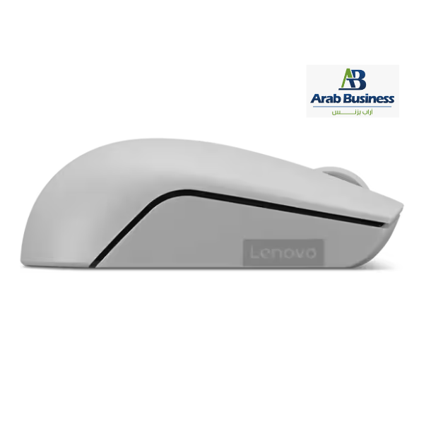 Lenovo 300 Wireless Compact Mouse (Arctic Grey) with battery