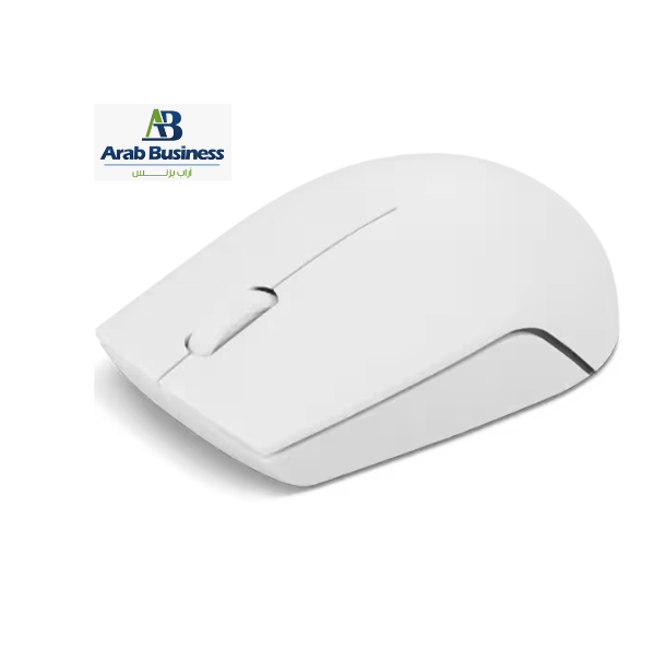 LENOVO 300 WIRELESS COMPACT MOUSE -CLOUD GREY